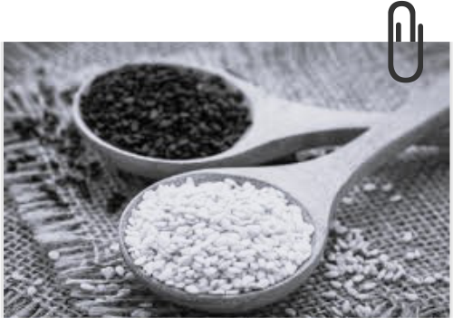Sesame Seed